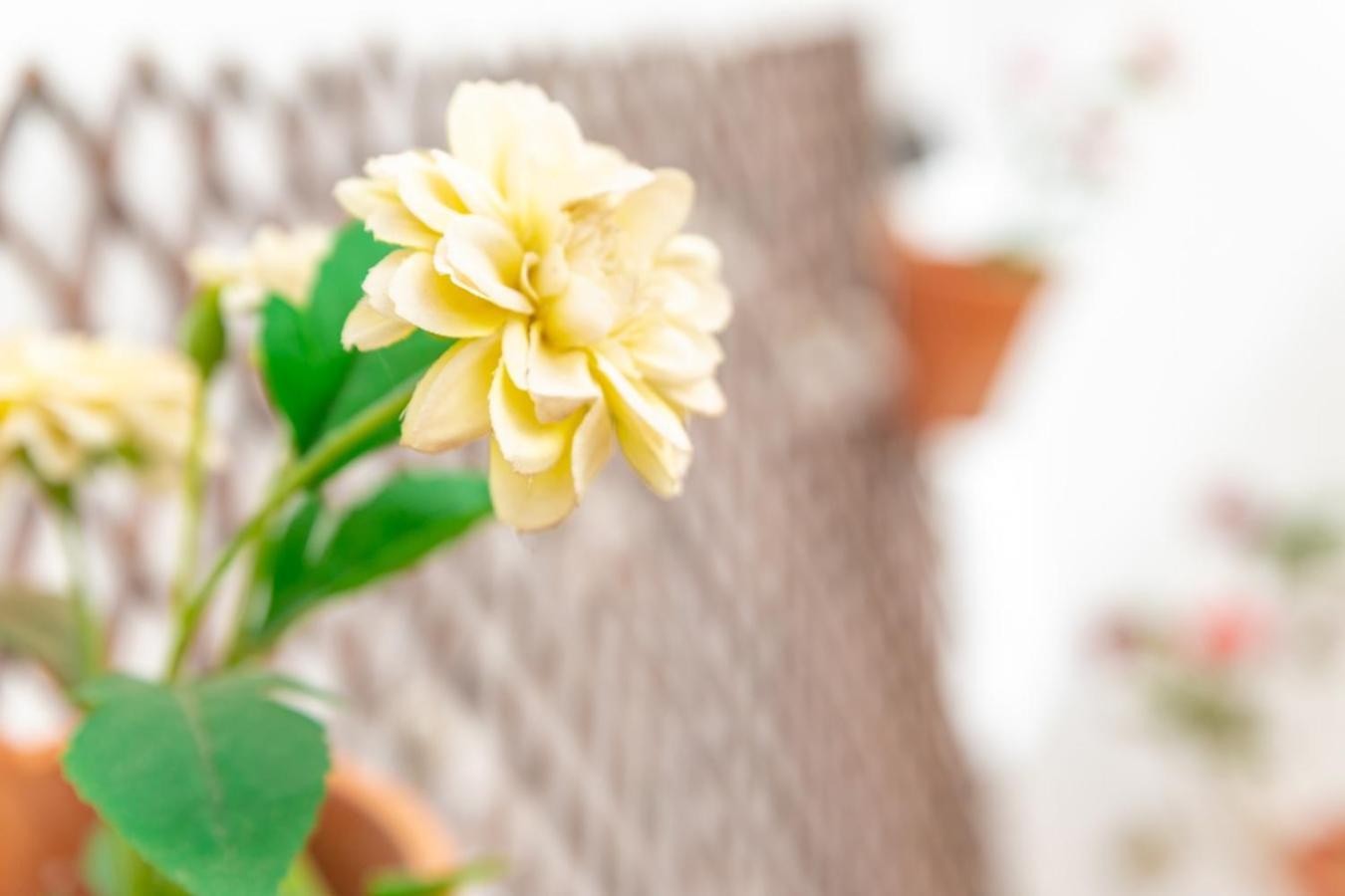 Apartament Casa Siroco | +Patio Barbate Zewnętrze zdjęcie